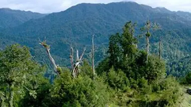 L'archipel des géants