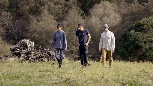 Audiences TV : Nouvelles graines