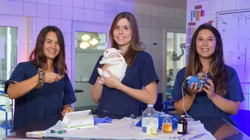 Nouvelles recrues : leurs premiers pas Episode 2