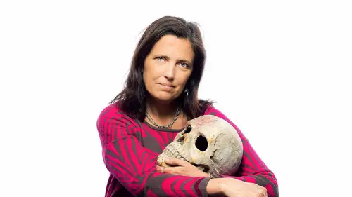 Novela negra : le polar latino