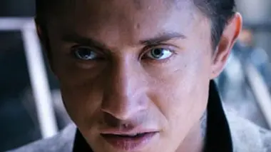 Dark World : Equilibrium