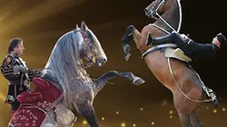 Sur Equidia Life à 20h30 : Nuit du cheval 2016