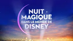 Nuit magique dans le monde de Disney