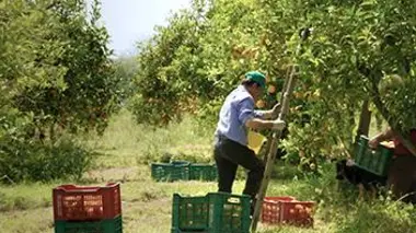 Nul homme n'est une île (2017)