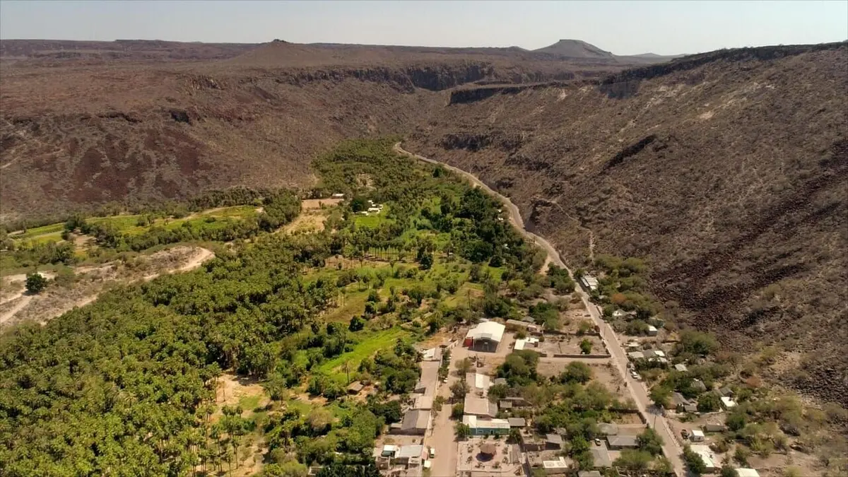 Oasis Mexique, sous les palmiers de Los Comondu