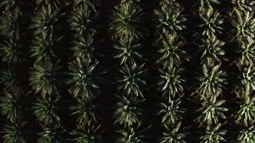 Oasis Maroc, les maîtres de l'eau du Tafilalet