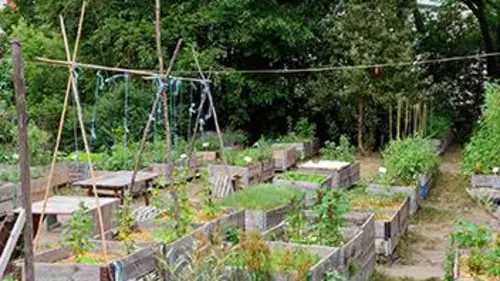 Oasis urbaines E03 Leipzig