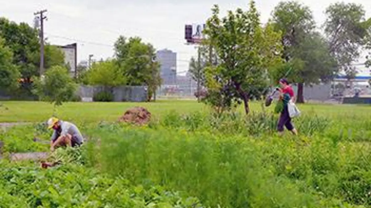 Oasis urbaines E01 Detroit