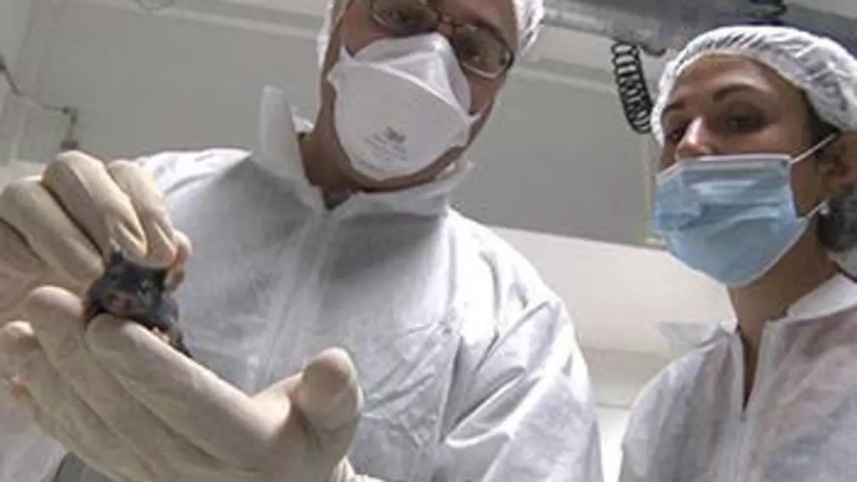 Obésité, la médecine dans la balance