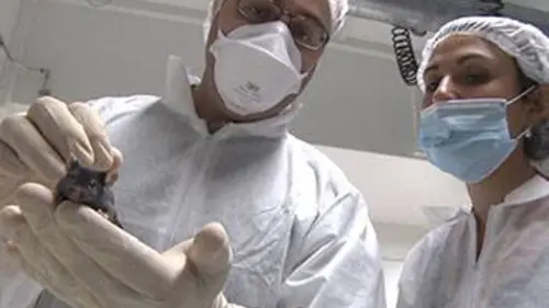 Obésité, la médecine dans la balance