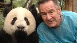 Visuel de Objectif panda avec Nigel Marven