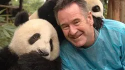 Visuel de Objectif panda avec Nigel Marven
