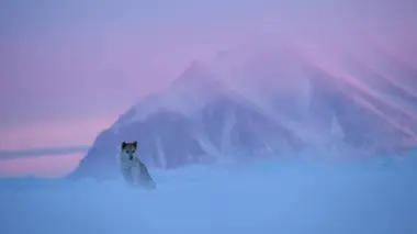 Objectif Thulé : une aventure photographique