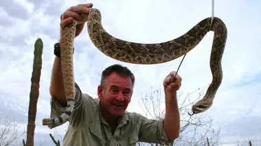 Observation des baleines avec Nigel Marven S01E01 Le début d'un incroyable voyage