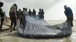 Océans, le grand kidnapping