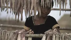 Océans, le grand kidnapping