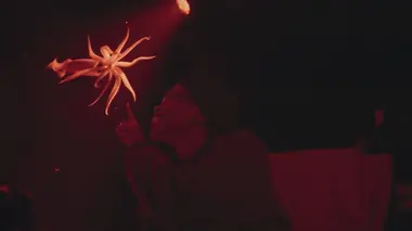 Les géants des profondeurs