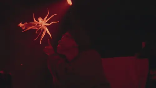 OceanXplorers Les géants des profondeurs