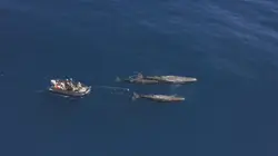 OceanXplorers Les géants des profondeurs