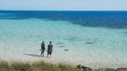 OceanXplorers Le royaume des baleines à bosse