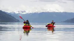 Odisea, retour aux sources