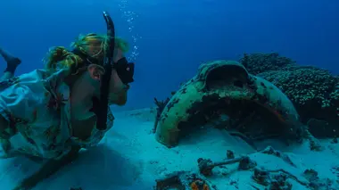 Odyssée dans le Grand Nord