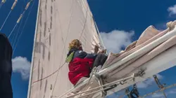 Odyssée dans le Grand Nord