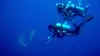 Odyssée Pacifique E01 Cap sur les requins du grand large (2013)