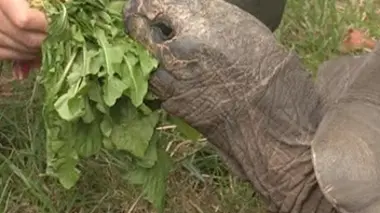 Zoo, vétos : les experts du monde animal