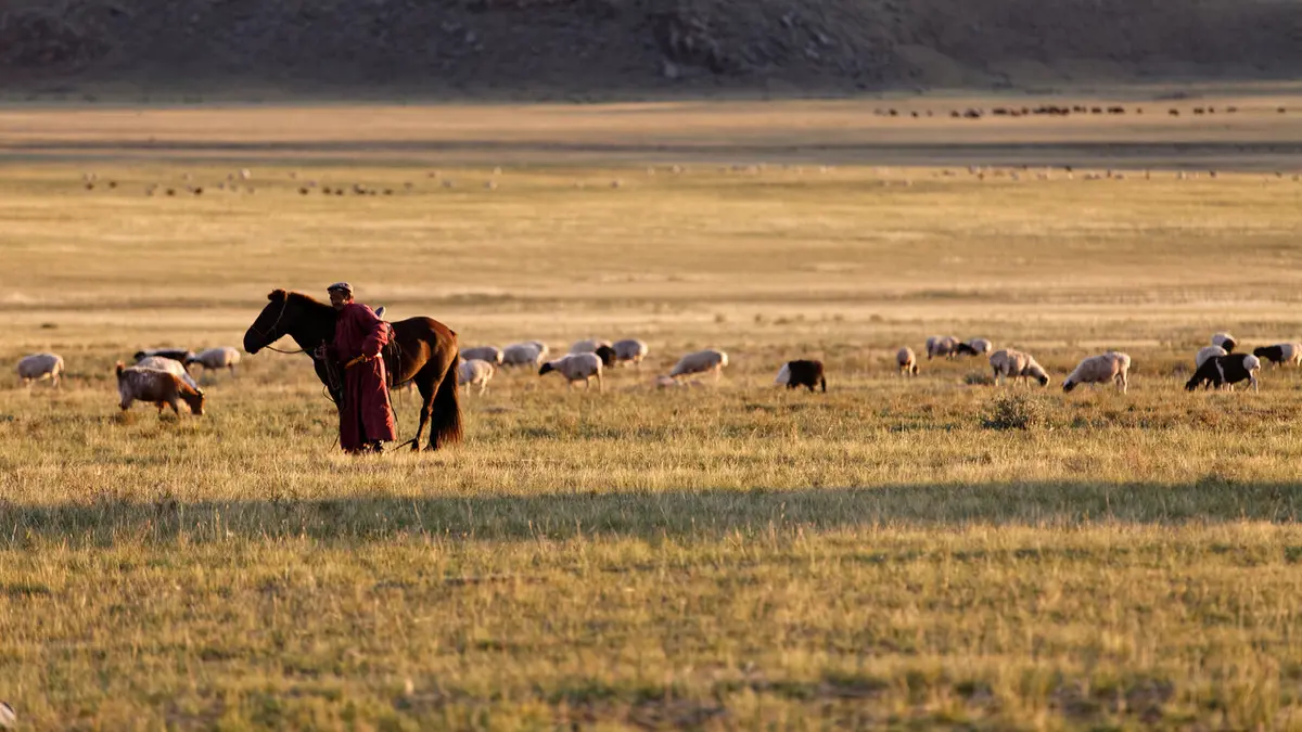 Ogui, médecin des steppes de Mongolie