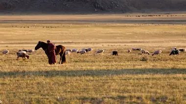 Ogui, médecin des steppes de Mongolie