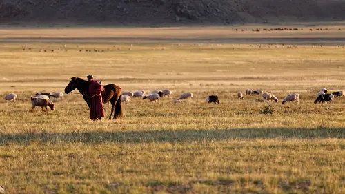 Ogui, médecin des steppes de Mongolie