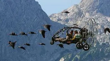 Leur combat pour la survie