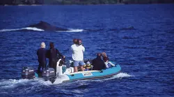 Okavango S01E07 Les rescapés du Gondwana (Madagascar/Lesotho)