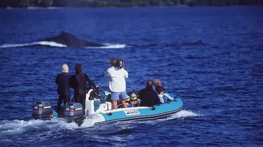 Les rescapés du Gondwana (Madagascar/Lesotho)