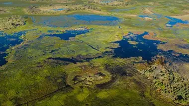 Okavango D'eaux et de sables (Bostwana, Namibie)