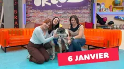 Okoo-koo  Emission du 6 janvier 2026