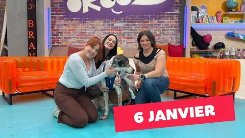 Okoo-koo Emission du 6 janvier 2026