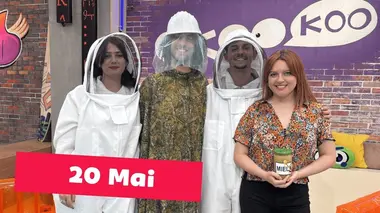 Emission du 20 mai 2026