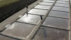 Oleron les sentinelles du climat
