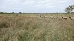 Oleron les sentinelles du climat