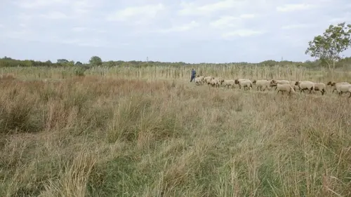Oleron les sentinelles du climat
