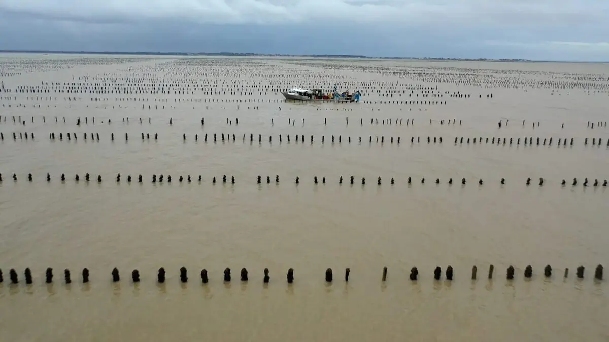 Oleron les sentinelles du climat