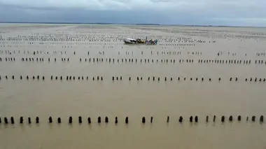 Oleron les sentinelles du climat