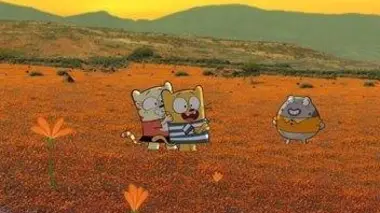 Le printemps en Afrique du Sud