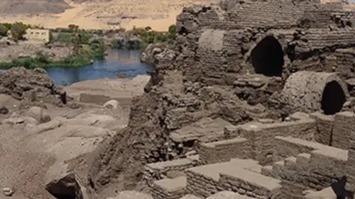 Olly Steeds : révélations historiques