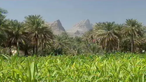 Oman la précieuse