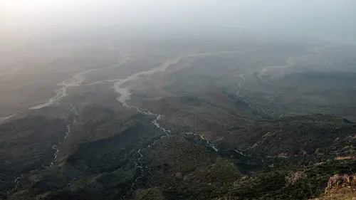 Oman sauvage : Loups et baleines à bosse