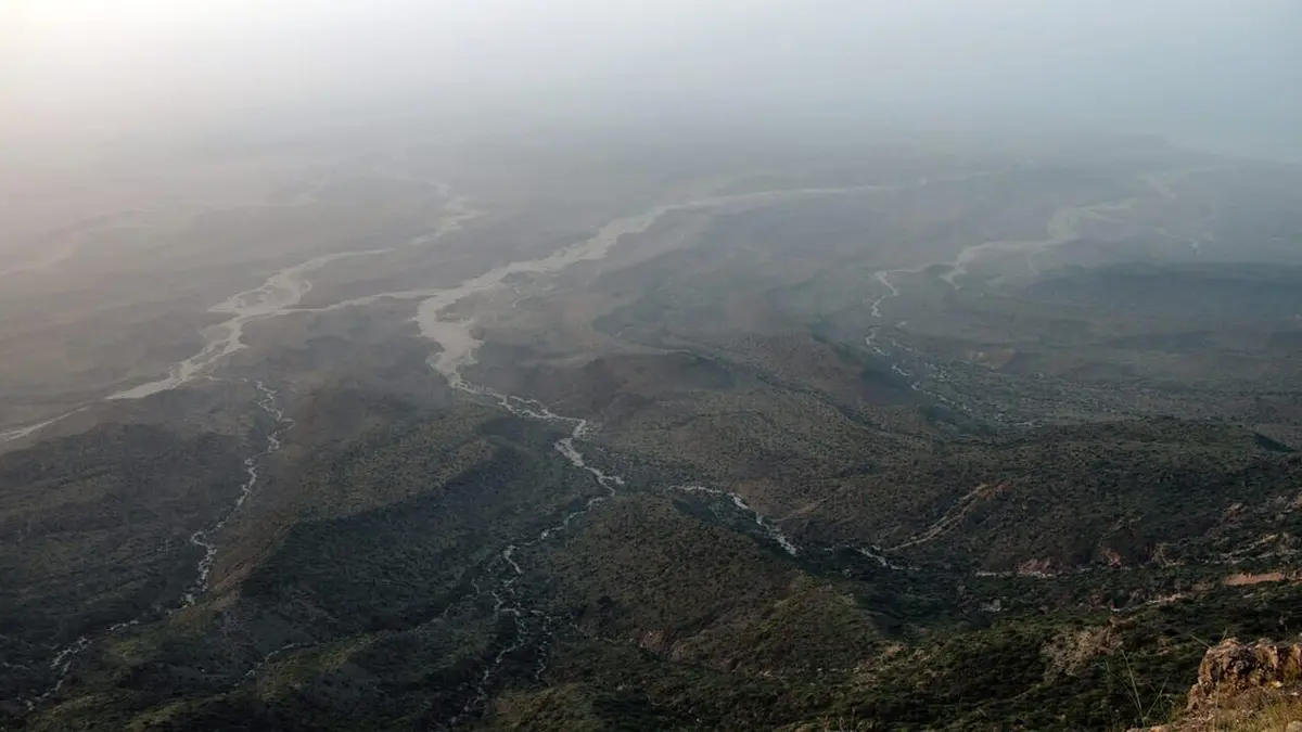 Visuel de Oman sauvage : Loups et baleines à bosse Loups et baleines à bosse