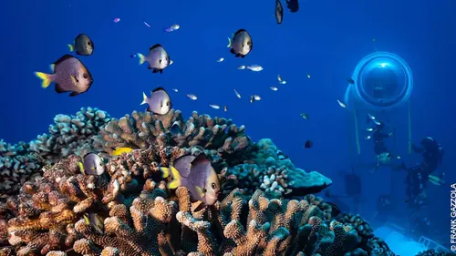 On a dormi sous la mer